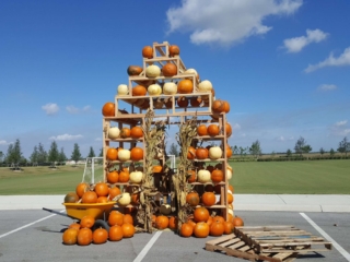 Arden Community