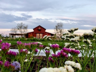 Arden Farmhouse in Spring