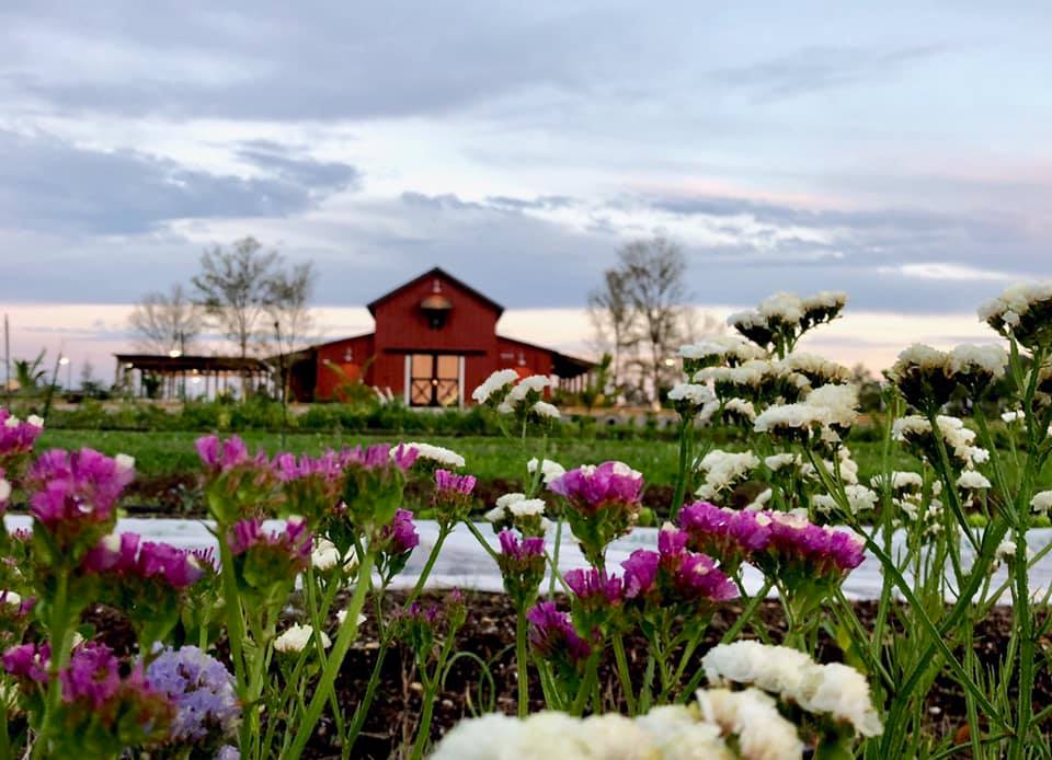 Arden Farmhouse in Spring