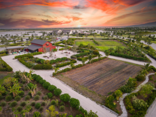 Agrihood Community Farm at sunset