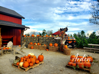fall in the agrihood