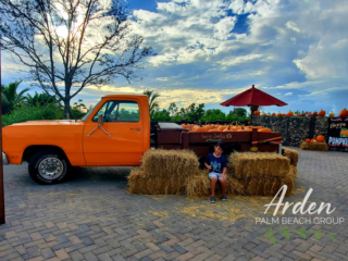 fall in the agrihood – pumpkin patch