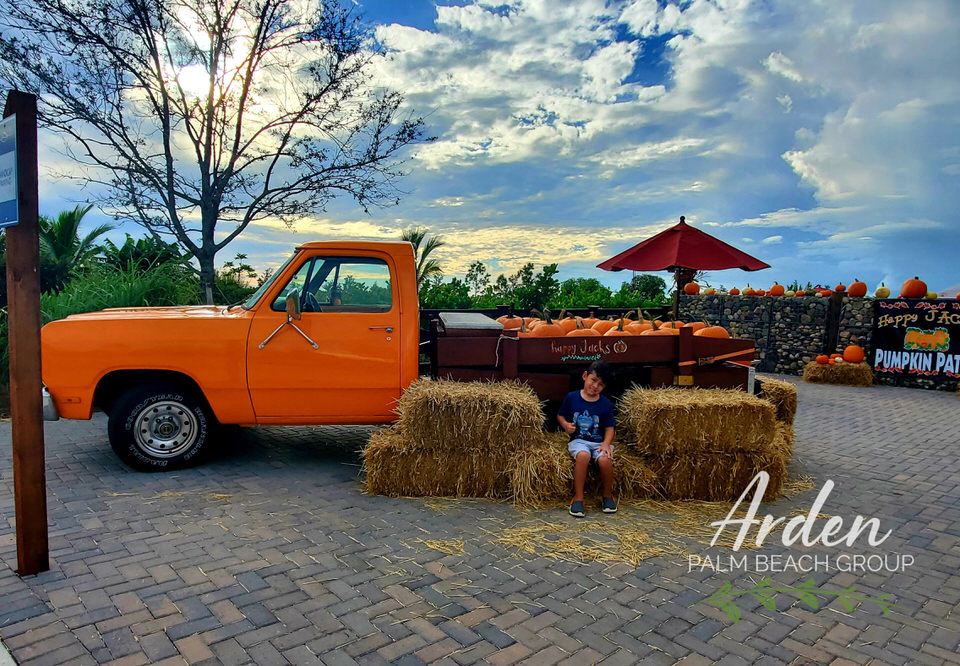 fall in the agrihood – pumpkin patch